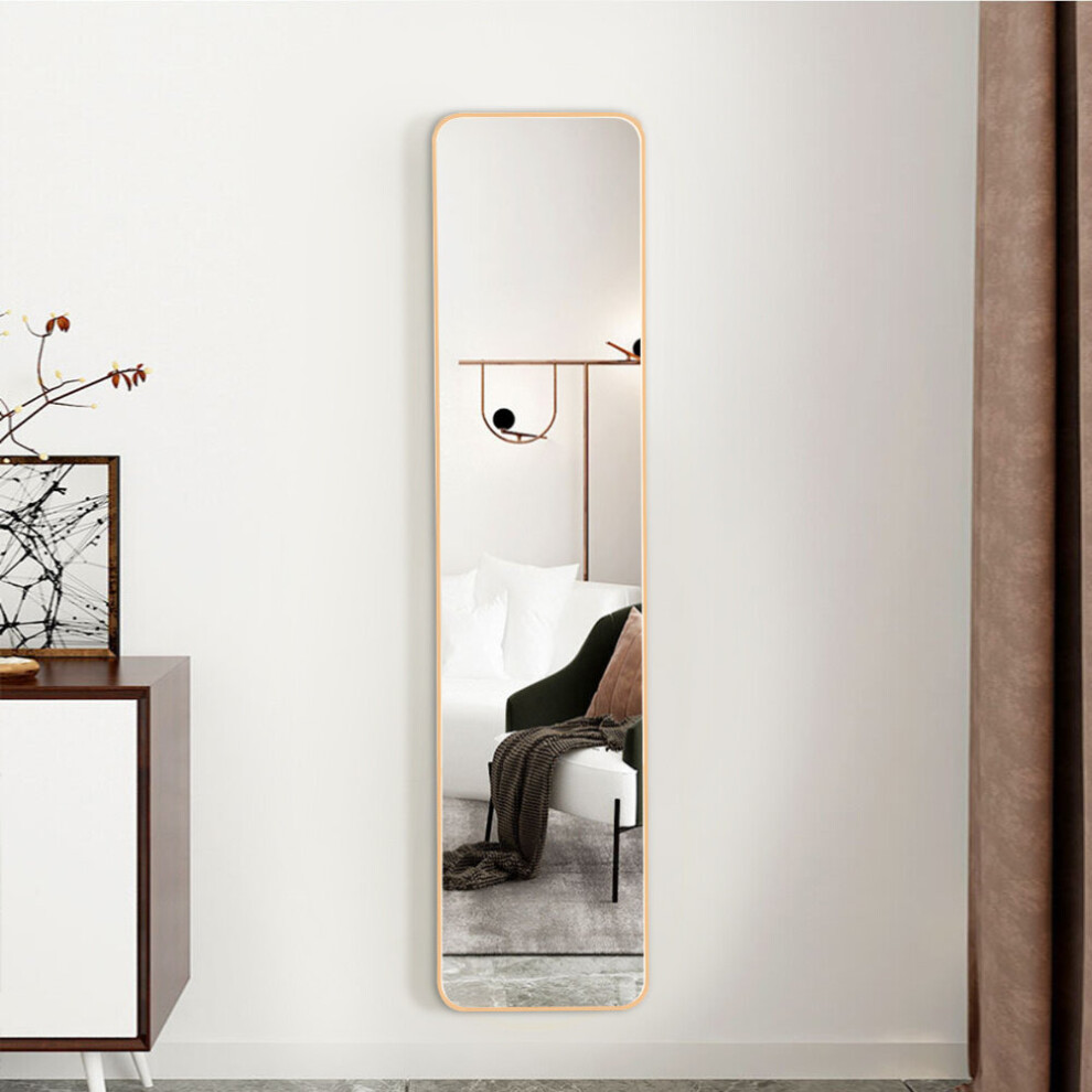 gold-full-length-mirror-with-door-hanging-230750215.jpg